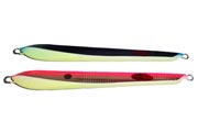 50-01-08: Skinny Shark Fish
